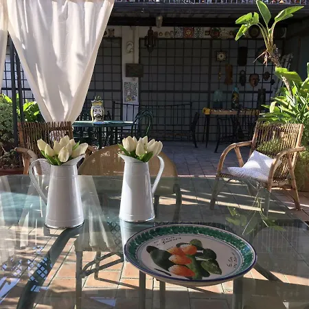 Sicily House Terrace Apartment Catania
